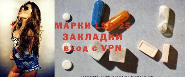 прущие грибы Алзамай